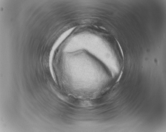 X0000051880091200507151924