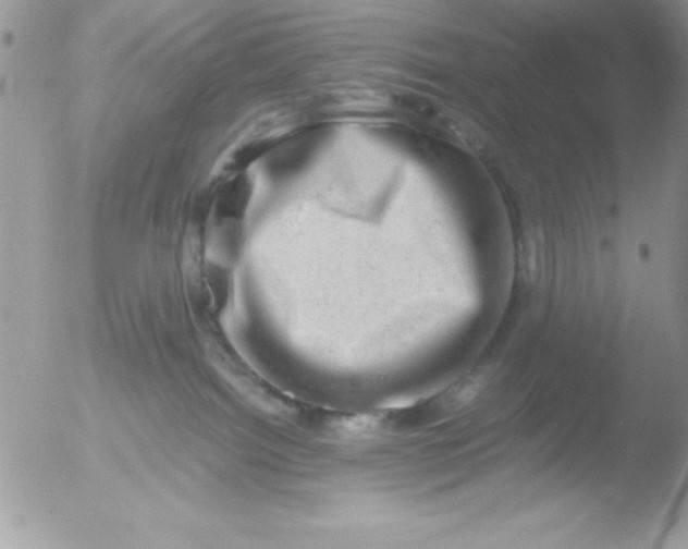 X0000051880092200507151924