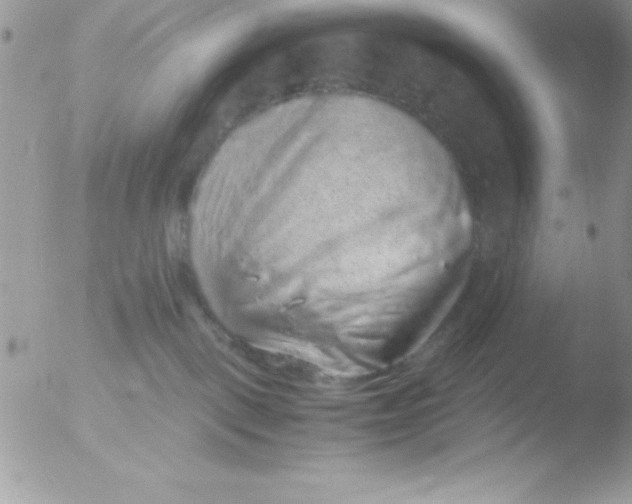 X0000051880093200507151924