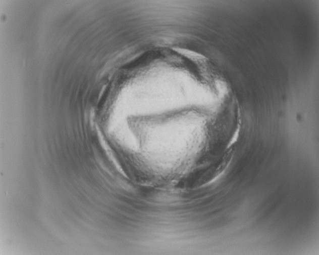 X0000051880094200507151924