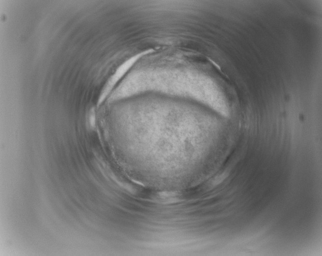 X0000051880095200507151924