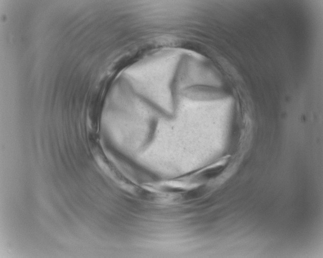 X0000051880096200507151924