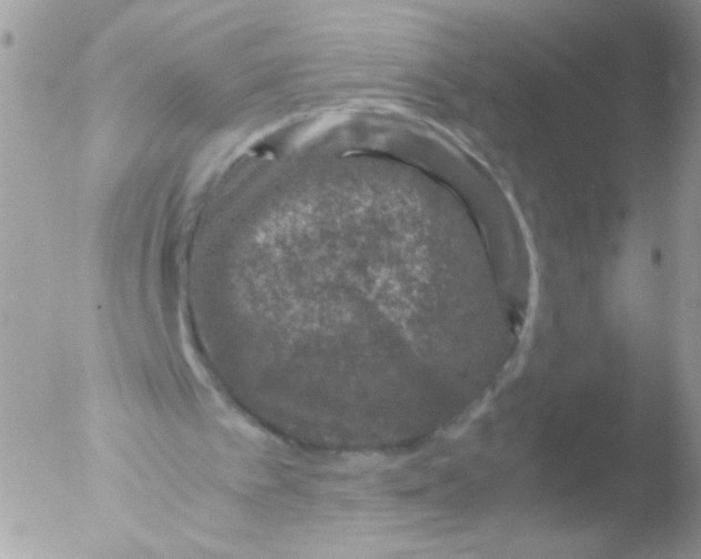 X0000051880097200507151923