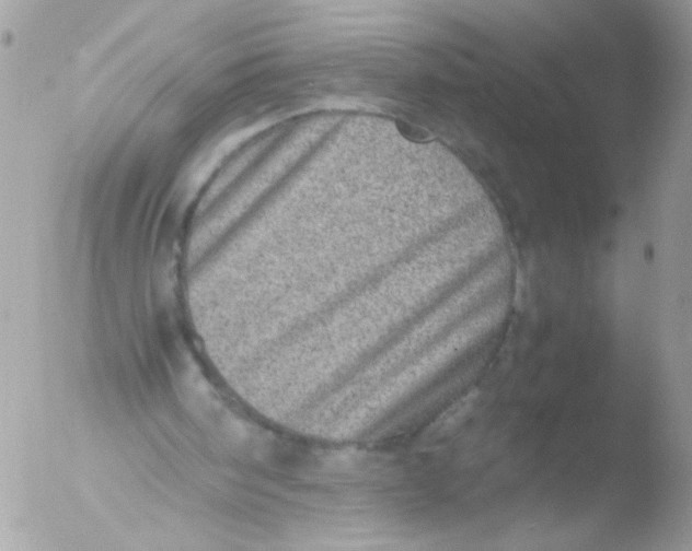 X0000051880098200507151923