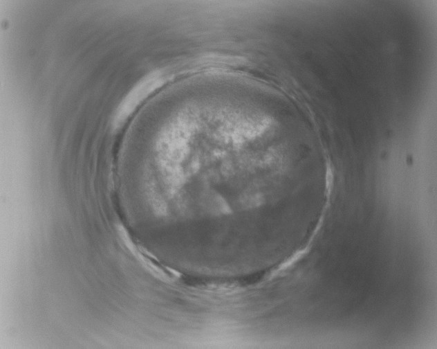 X0000051880101200507151923