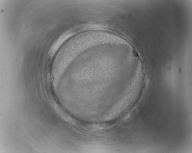 X0000051880103200507151923