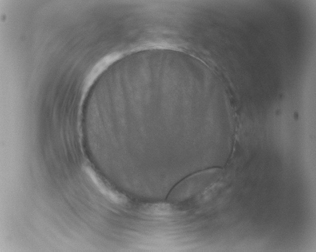 X0000051880104200507151923