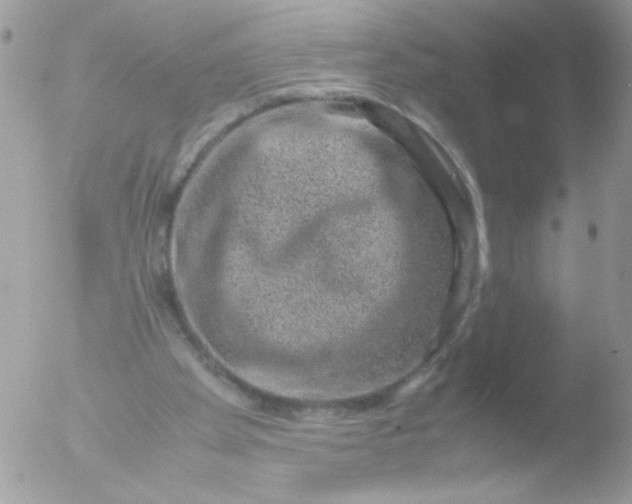 X0000051880105200507151923