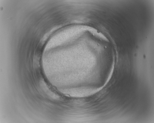 X0000051880106200507151923