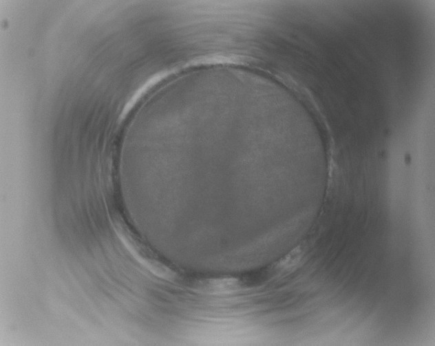 X0000051880108200507151923