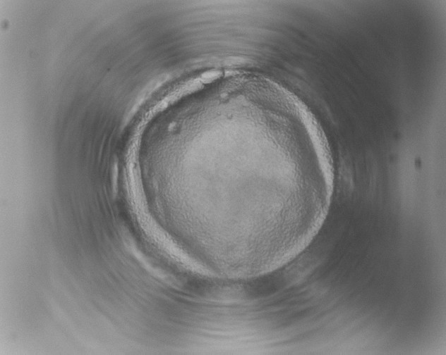 X0000051880110200507151923