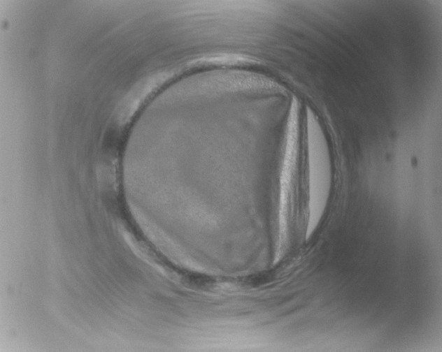 X0000051880111200507151923