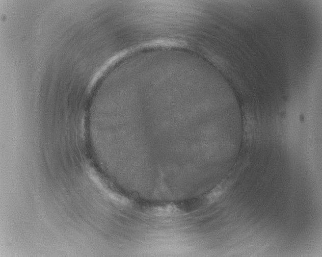 X0000051880112200507151923