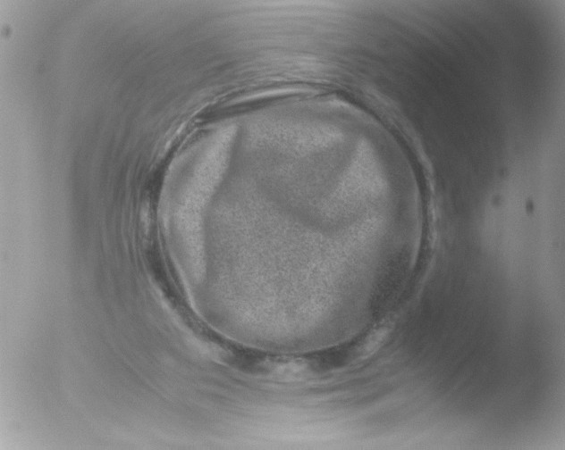 X0000051880113200507151923