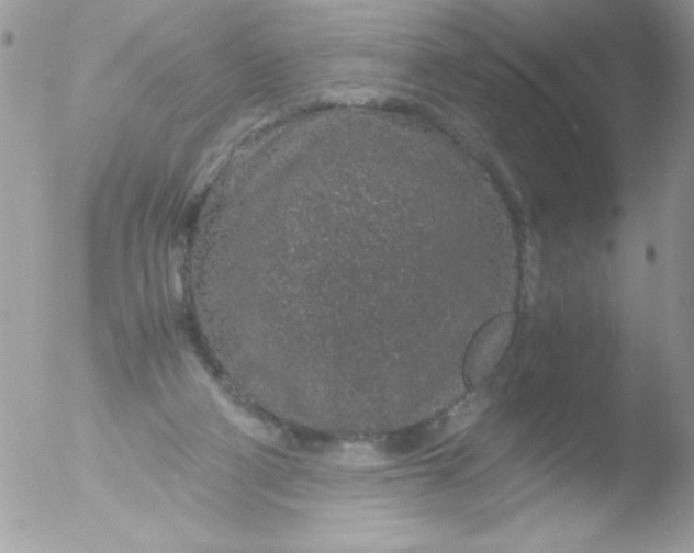 X0000051880114200507151923