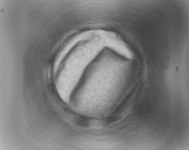 X0000051880115200507151923