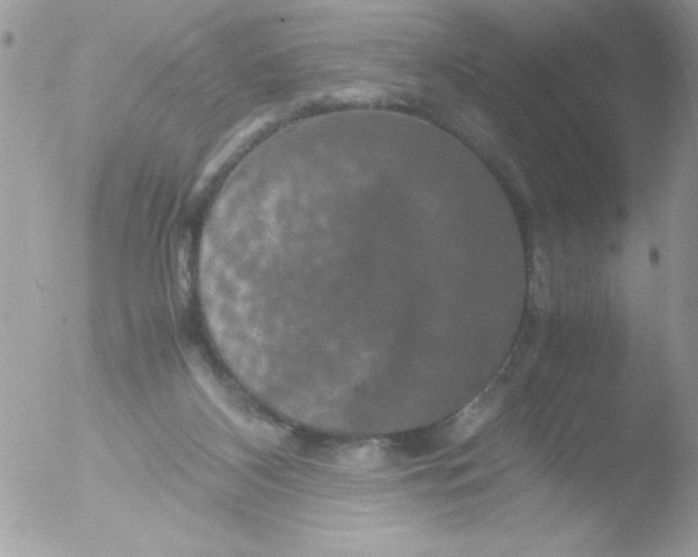 X0000051880116200507151923