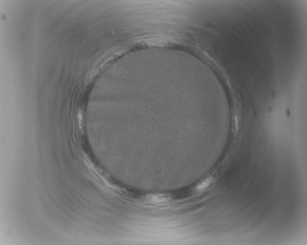 X0000051880117200507151923