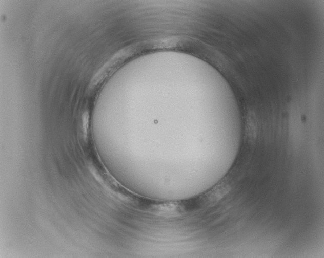 X0000051880118200507151922