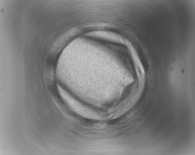 X0000051880119200507151922