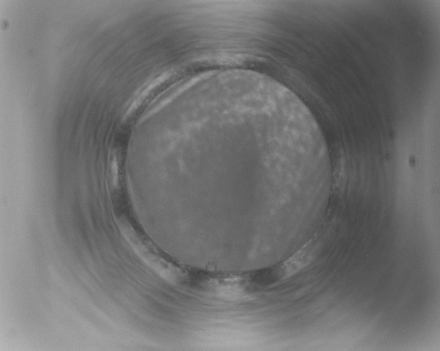 X0000051880120200507151922