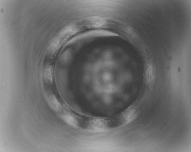 X0000051880121200507151922