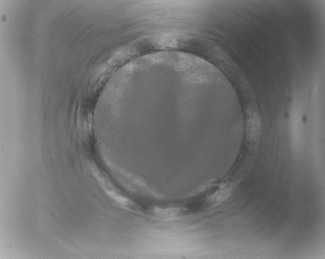 X0000051880125200507151922