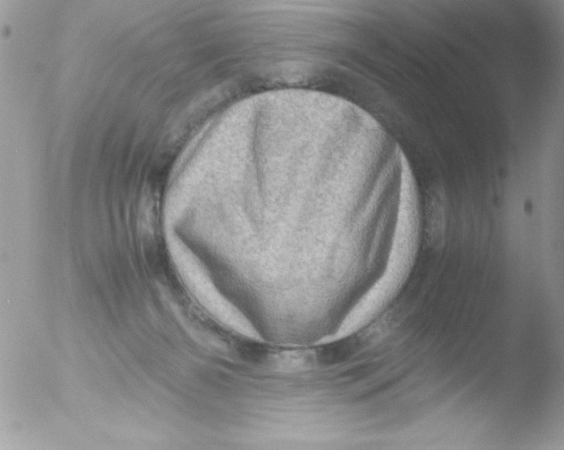 X0000051880126200507151922