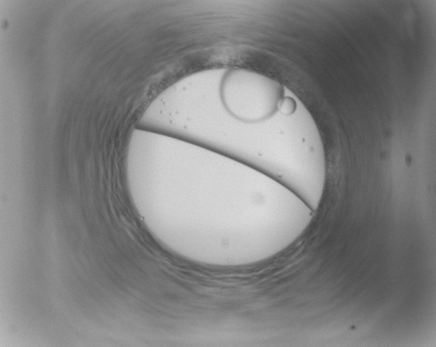 X0000051880127200507151922