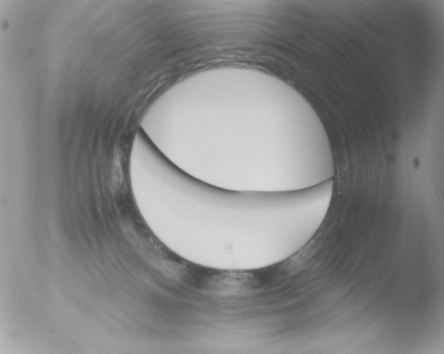 X0000051880128200507151922