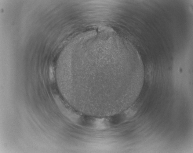 X0000051880130200507151922