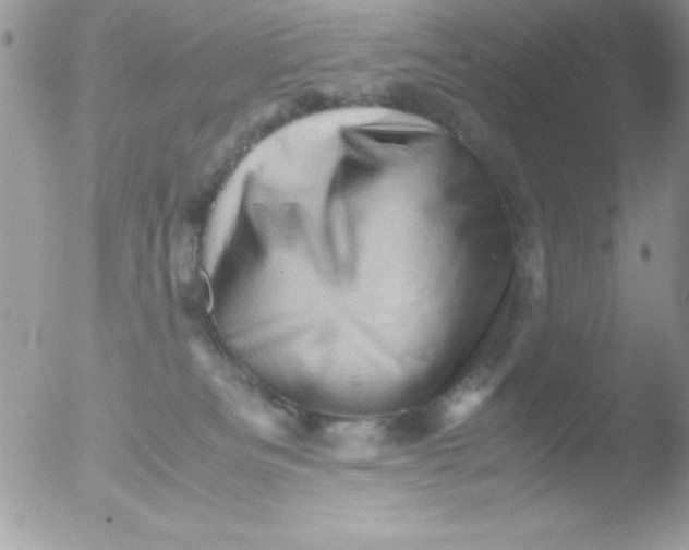 X0000051880133200507151922