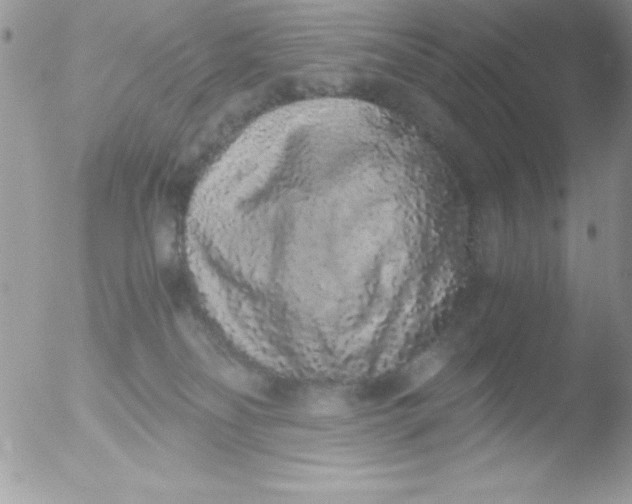 X0000051880134200507151922