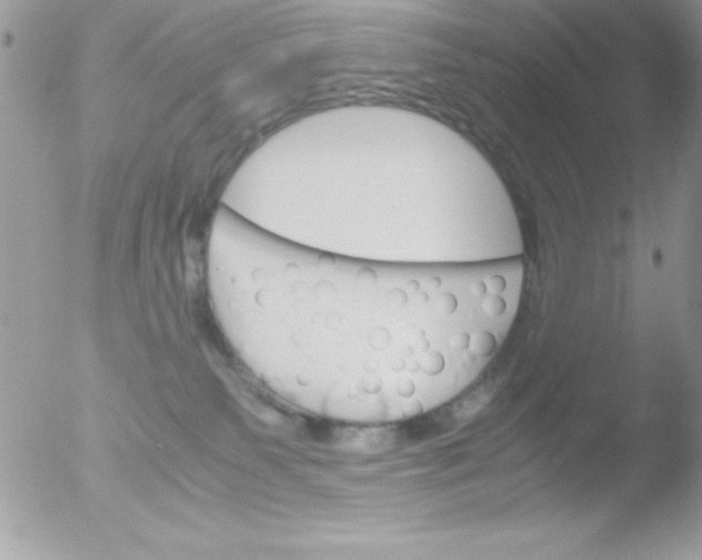 X0000051880135200507151922