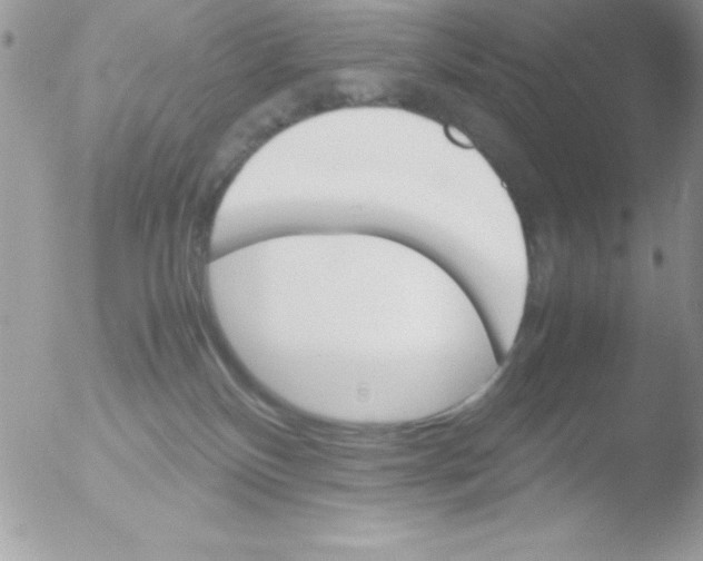 X0000051880136200507151922