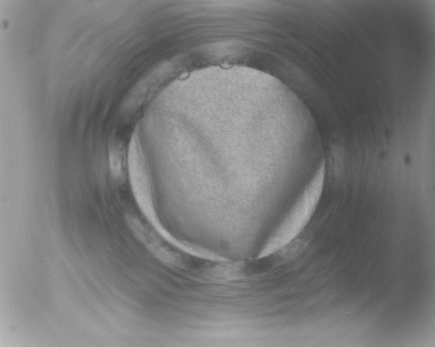 X0000051880138200507151922