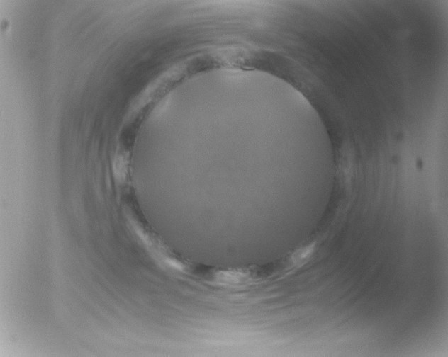 X0000051880139200507151922