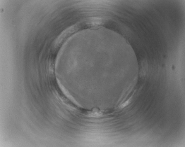 X0000051880140200507151922