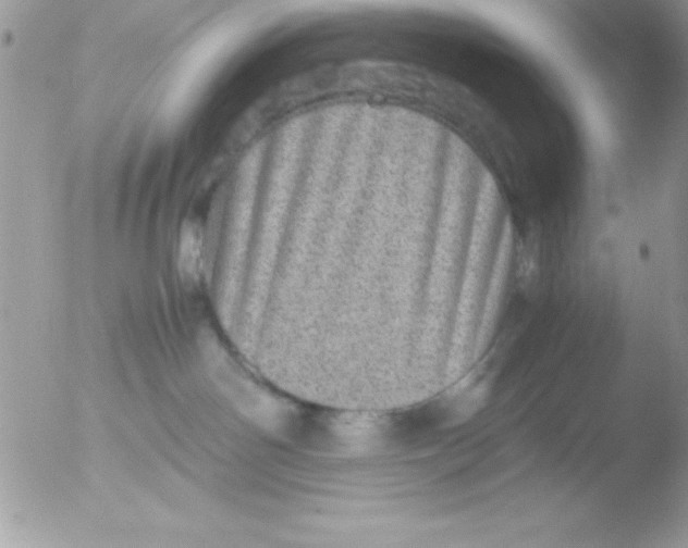 X0000051880142200507151922