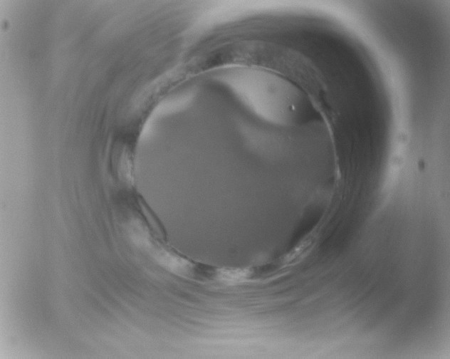 X0000051880143200507151922