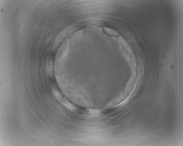 X0000051880144200507151922