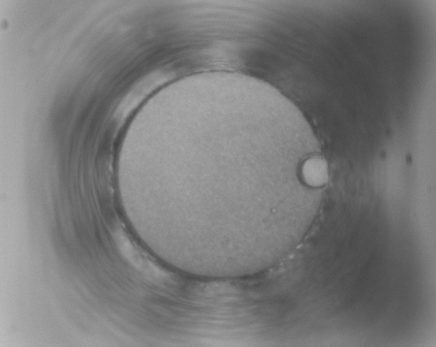 X0000051880146200507151921