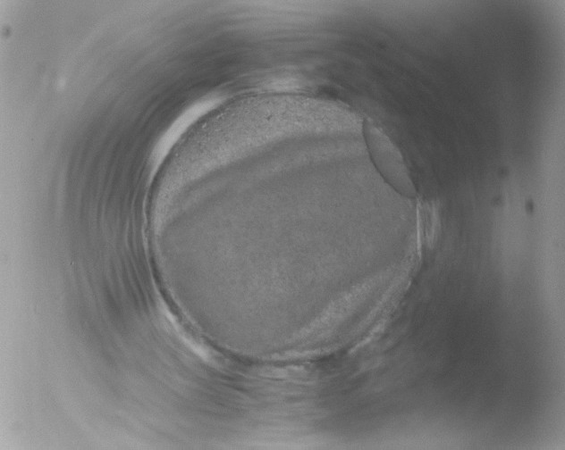 X0000051880147200507151921