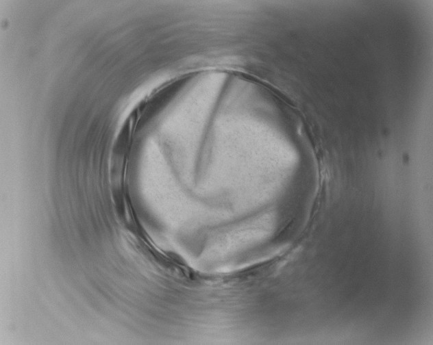 X0000051880148200507151921