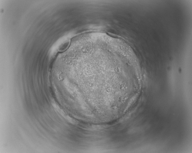 X0000051880149200507151921