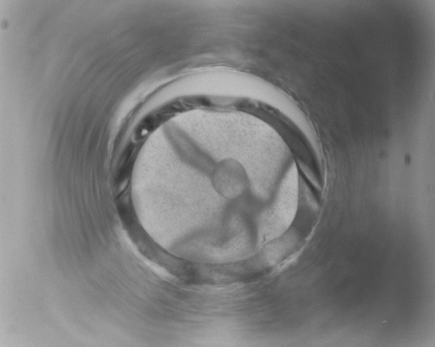 X0000051880150200507151921