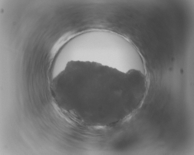 X0000051880151200507151921