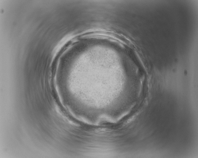 X0000051880152200507151921