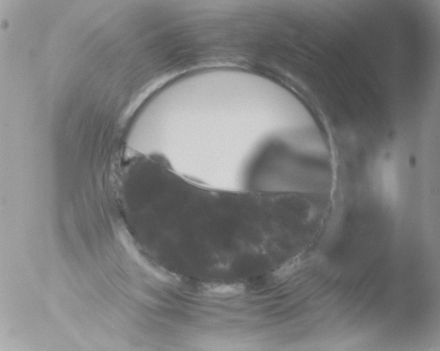 X0000051880155200507151921