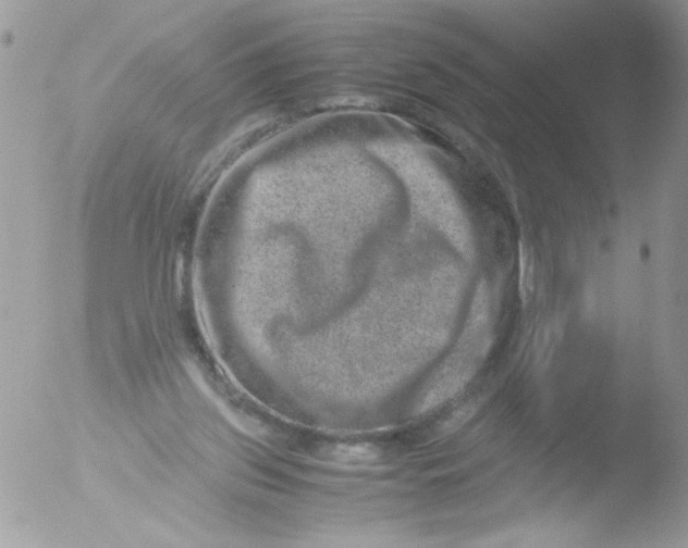 X0000051880157200507151921